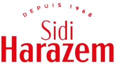 Sidi-hrazem-removebg-preview