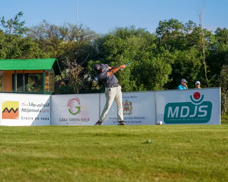 MET-FAT VIIII (10 sur 333)