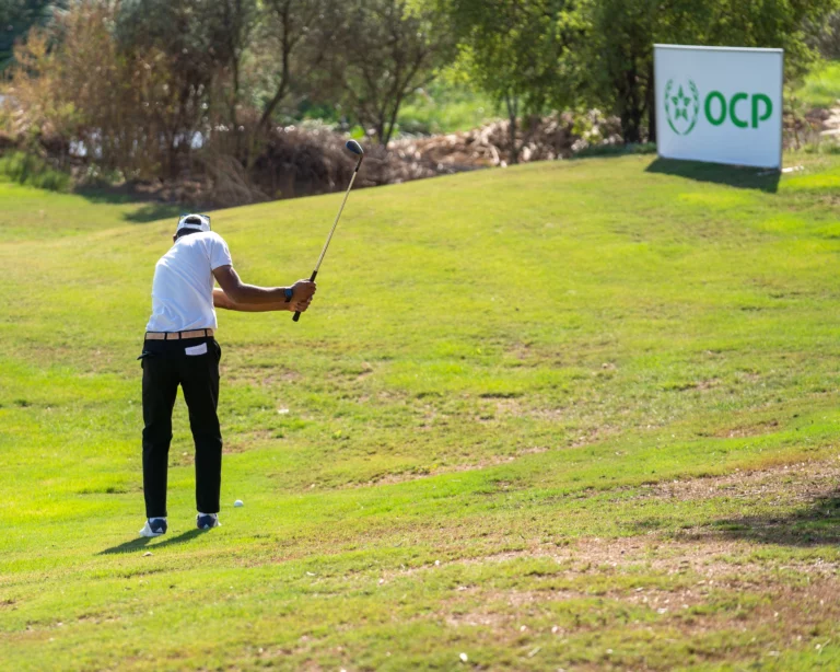 MET-FAT VIIII (163 sur 333)