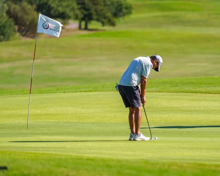 MET-FAT VIIII (231 sur 333)