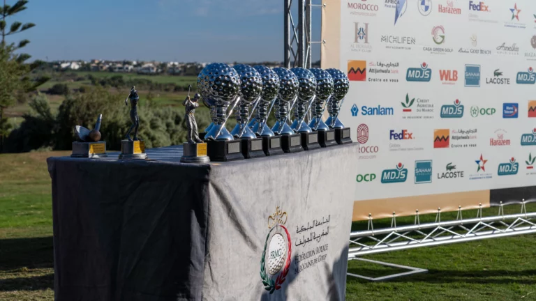 MET-FAT VIIII (276 sur 333)