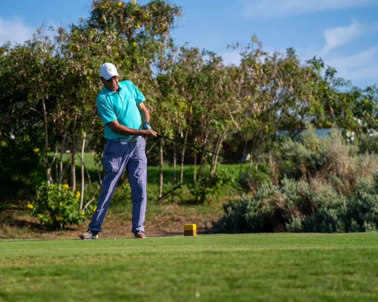 MET-FAT VIIII (48 sur 333)