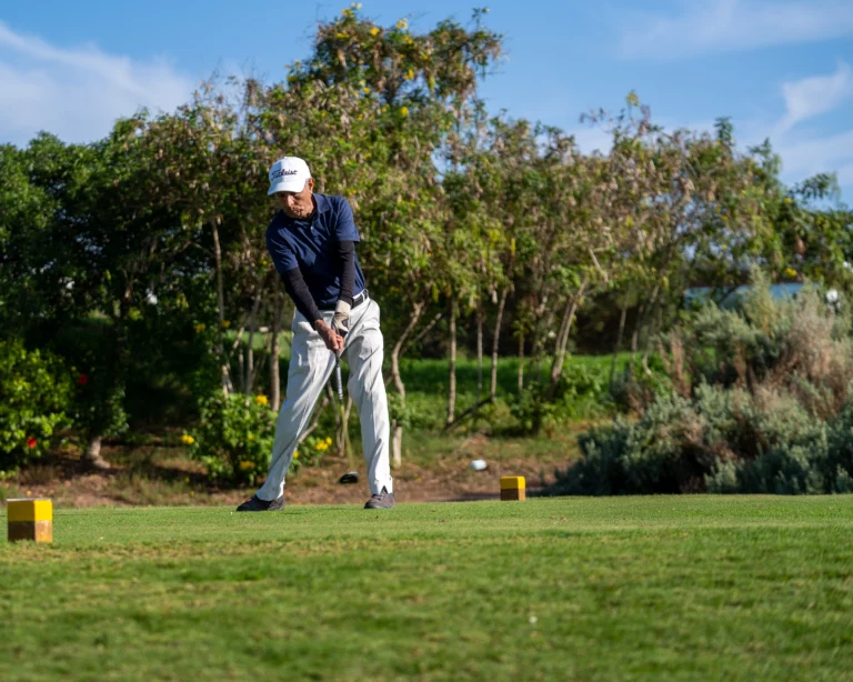 MET-FAT VIIII (49 sur 333)