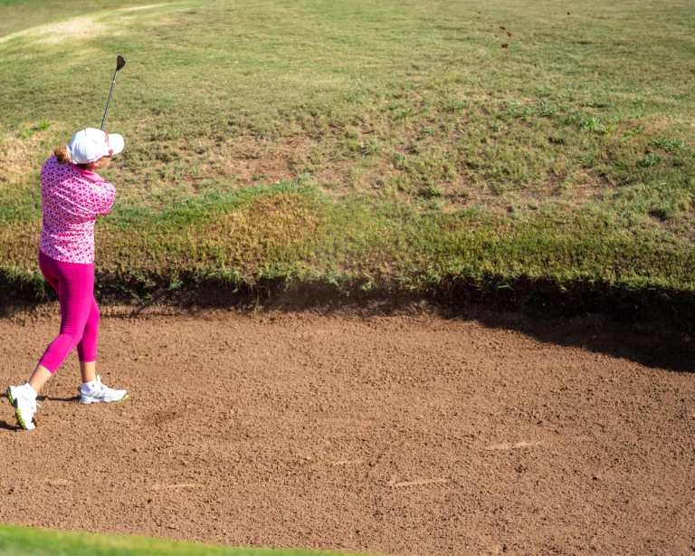 MET-FAT VIIII (94 sur 333)