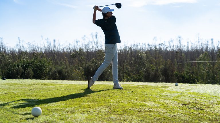 NJT I 26 PALMCASA (31 sur 111)