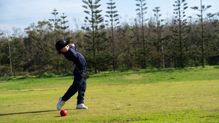 NJT I 26 PALMCASA (57 sur 111)