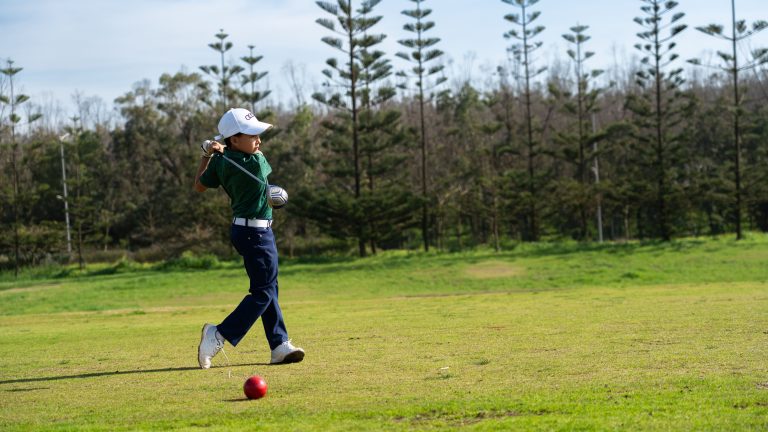 NJT I 26 PALMCASA (64 sur 111)